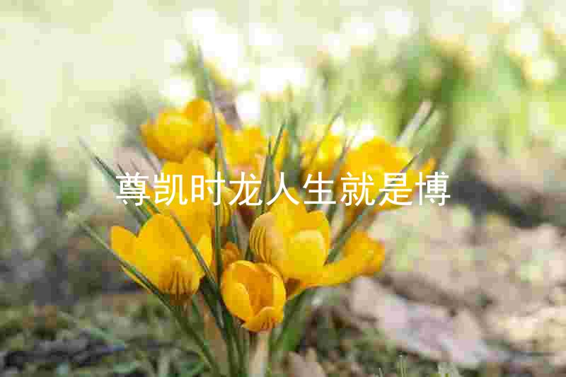 尊凯时龙人生就是博