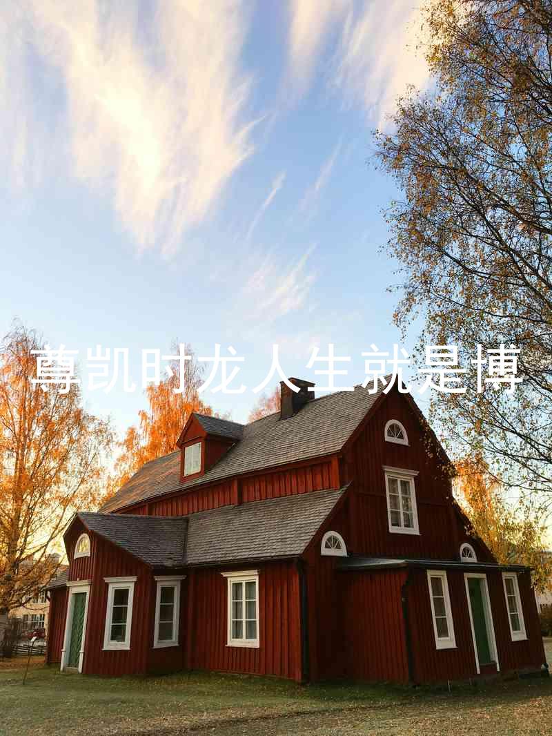 尊凯时龙人生就是博