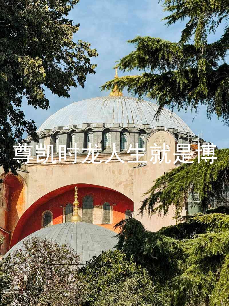 尊凯时龙人生就是博